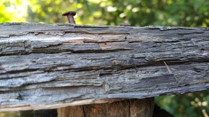 Fototapeta premium Embossed wood surface texture. Macro shooting background.