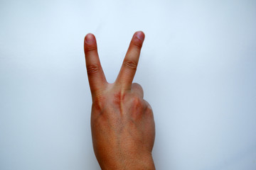 White Male Hand Shows two on White Background