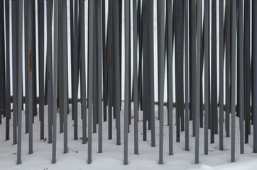 Piled in a bunch of fences from the crowd form a kind of forest on winter snow