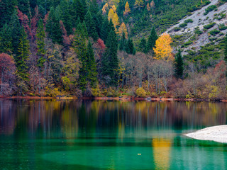 Reflection of autumn foliage along the shore of Lake Tovel, Trentino Alto Adige