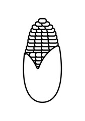 sweet corn in white background