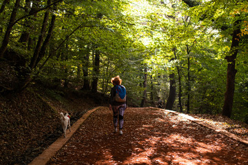 Fototapeta premium Young woman walking in forest. Adventure style. Autumn colours. Beautiful nature and young girl. Concept for outdoors and parks.