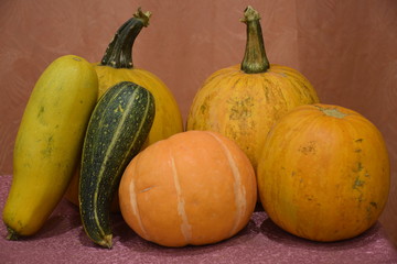 ripe pumpkins and zucchini from the garden