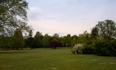 Beautiful park with a lake and plants.