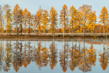 Beautiful autumn landscape of Kymijoki river waters in fog. Finland, Kymenlaakso, Kouvola