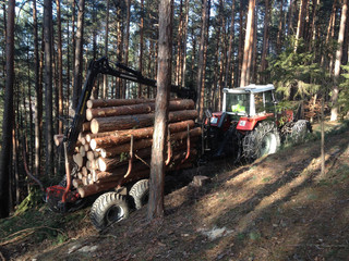 Traktor mit Kranwagen und Blochholz im Wald