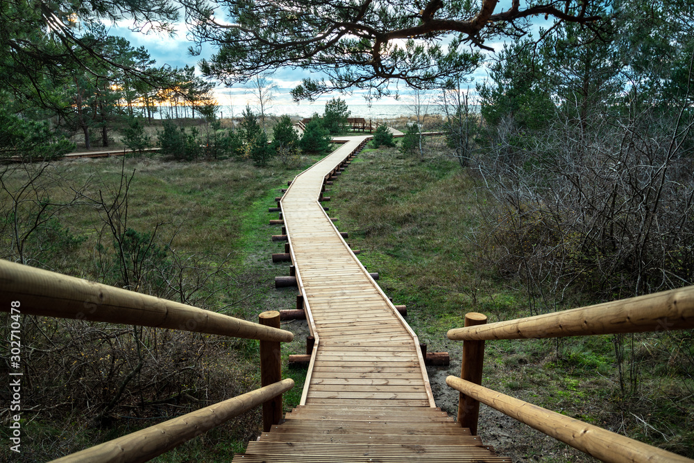 Canvas Prints Path to the Baltic sea.