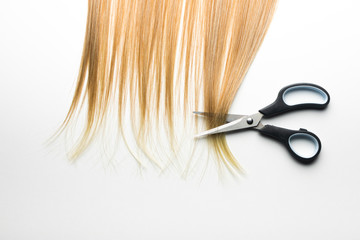 Piece of blonde hair on white isolated background with scissors