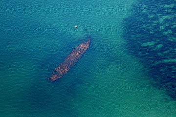 Obraz premium The Cape Cod Shipwreck S.S. Longstreet