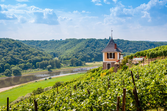 Elbtal Bosel Spaargebirge Weinanbau - Mei&szlig;en, Dresden, Sachsen