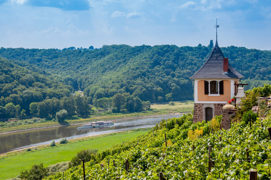 Elbtal Bosel Spaargebirge Weinanbau - Mei&szlig;en, Dresden, Sachsen