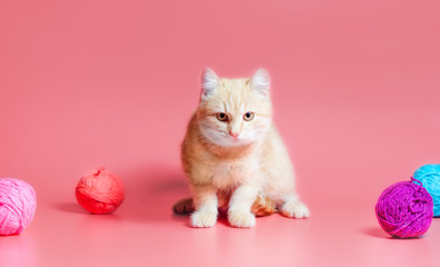 Fototapeta na wymiar kitten with multi-colored balls of woolen threads on a pink background