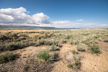Mono lake in spring
