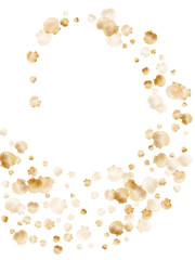 Gold seashells vector, golden pearl bivalved mollusks.