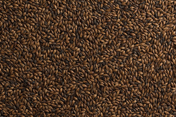 Malt, wheat grains for brewing. Malt background. Top view, flat lay