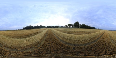 Autumn fields ind 360 HDRI panorama