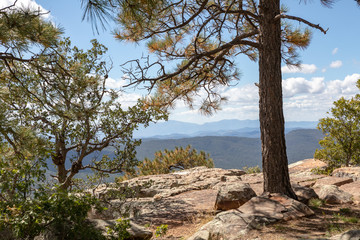 Mogollon Rim landscapes near Prescott Arizona