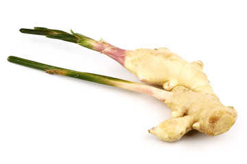 Fresh ginger root or rhizome isolated on white background, Ingredients of herbs for healing and...