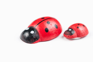 Red ladybug isolated on white background.Kids toy