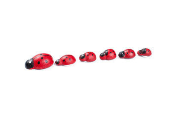 Naklejka na ściany i meble Red ladybug isolated on white background.Kids toy