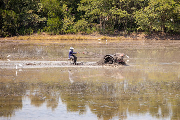 Obraz na płótnie Canvas A farmer man driving a tractor To adjust the topsoil of the large rice For planting rice in this coming season