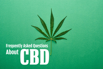top view of cannabis leaf on green background with frequently asked questions about cbd illustration