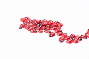 Red ladybug isolated on white background.Kids toy