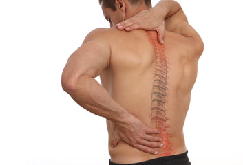 Scoliosis Spine Curve Anatomy, Posture Correction. Chiropractic treatment, Back pain relief.