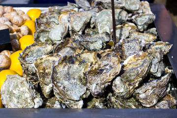 Fototapeta na wymiar Seafood. Plenty of fresh closed oysters on ice. Close up.