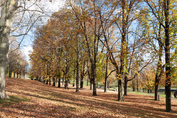 Parque con tonos de otoño