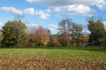 Parque con tonos de otoño