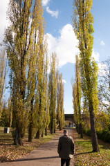 CAminando entre &aacute;rboles