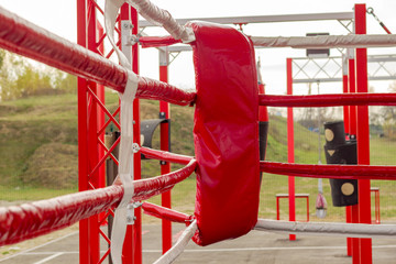 Boxing ring outdoors. Boxing lessons. Healthy lifestyle.