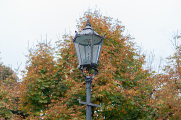 Farola con árbol otoñal detrás