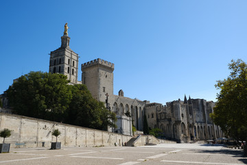 Obraz premium Palais du pape Avignon France