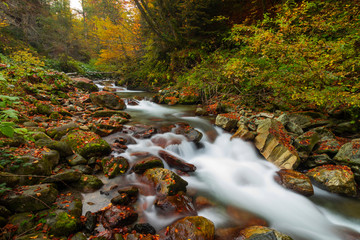 Autumn river long exposure
