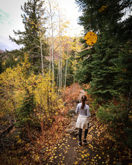 Fall run in Colorado 