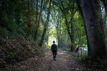 Fototapeta premium lonely man walking on an enchanted forest