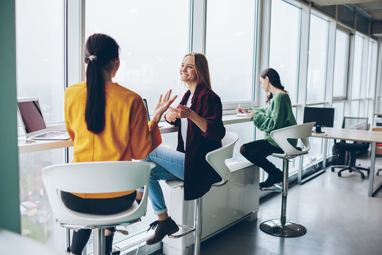 Cheerful woman gesturing while explaining information to female colleague satisfied with productive cooperation, back view of girl talking to positive friend sitting at modern loft interior office