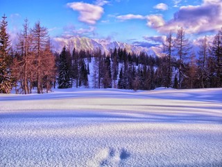 Scenic mountain winter landscape with footprints covered with fresh snow, larch trees, daylight,  sunlight, blue sky, clouds, peaks. Alps, Austria. Can be used as relaxing, christmas or PF photo. .