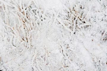 The texture of the snow on the grass,.The pattern of the grass with the snow