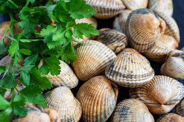 Close-up of raw cockles with parsley branches on dark slate background in horizontal