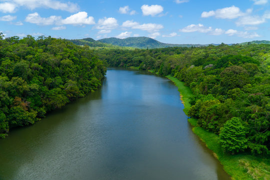 The Australian rainforest in the north of Australia near Cairns with green mountains and blue skies are white clouds