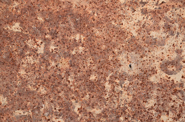 Cement on rusty metal for background