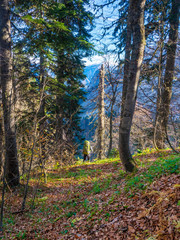 Abkhazia