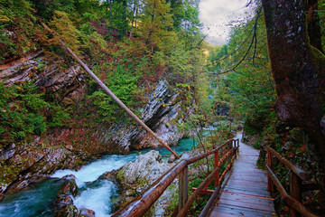 Picturesque view of Vintgar Gorge (Bled Gorge) with Radovna River. Trail runs across the gorge and the wooden bridges. Famous touristic place and travel destination in Slovenia