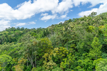 The Australian rainforest in the north of Australia near Cairns with green mountains and blue skies...