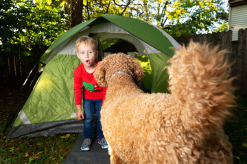 2 Little Boys Play Together in their Backyard in a Green Camping Tent
