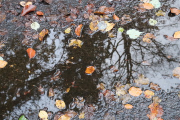 Spiegelungen