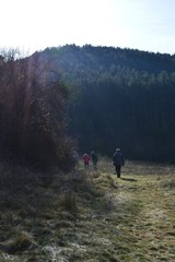 Fototapeta premium a group of people walking through the forest